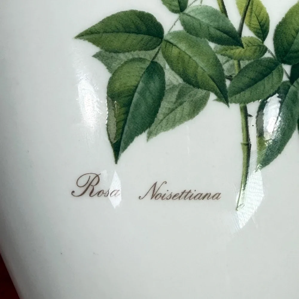 QUEENS Vase REDOUTES ROSES Fine Bone China Rosa Noisettiana 8